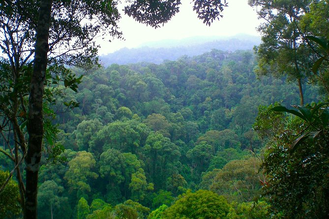 ORANGUTAN TREK (2D/1N) by EcoTravel Bukit Lawang - Night in the jungle camp: comfort, safety gear, and reality checks