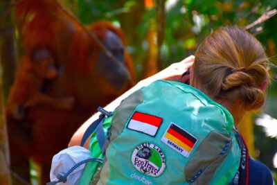 ORANGUTAN TREK (2D/1N) by EcoTravel Bukit Lawang - Day 1: 8:30 start, jungle trekking, and the river camp plan