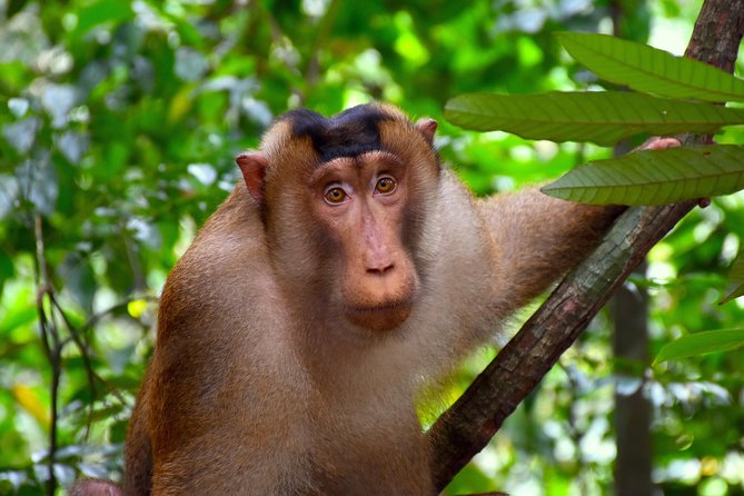 ORANGUTAN TREK (2D/1N) by EcoTravel Bukit Lawang - Day 2: waterfall time, then tube-rafting the Bohorok River