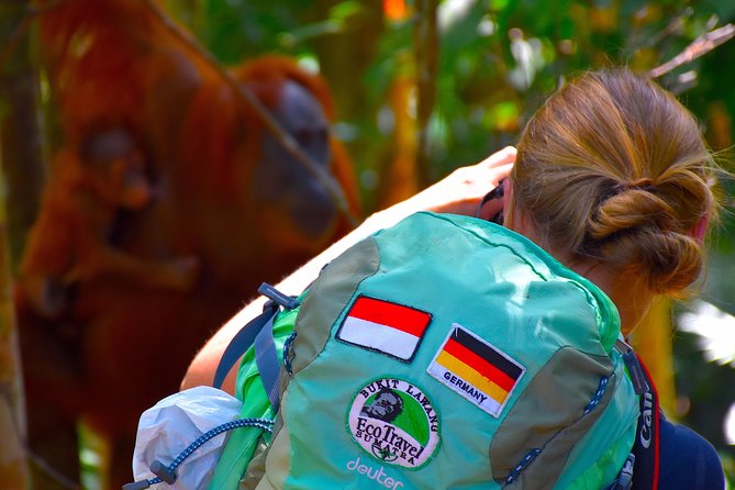 ORANGUTAN TREK (2D/1N) by EcoTravel Bukit Lawang - Day 1: 8:30 start, jungle trekking, and the river camp plan