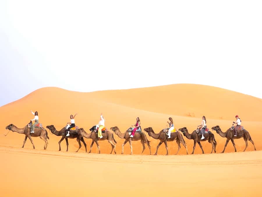 Ouarzazate to Marrakech: 3-Day Desert Tour with Camel Trek - Day 1: Ouarzazate to Dades Gorges via Ait Ben Haddou