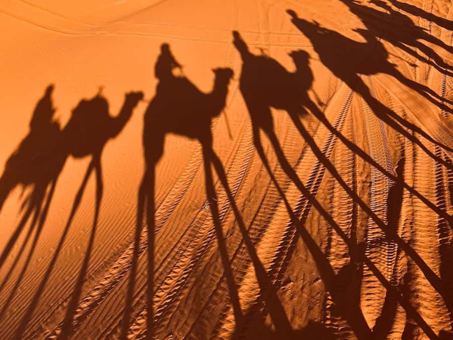 Ouarzazate to Marrakech: 3-Day Desert Tour with Camel Trek - Who should book this tour