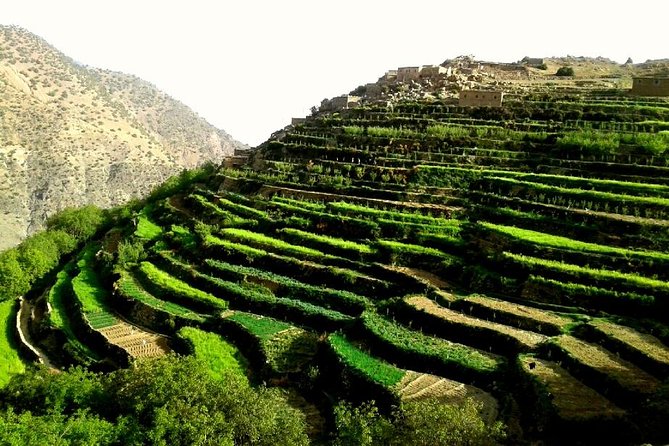 Ouirgane Trekking & Hiking from Ouirgane to Imlil – 4 Days - Ouirgane to Assif Izagzaoun: the valley shift you can feel