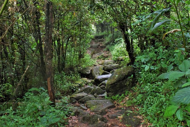 Overnight Adventure Trekking in Knuckles - Key highlights of the overnight Knuckles adventure