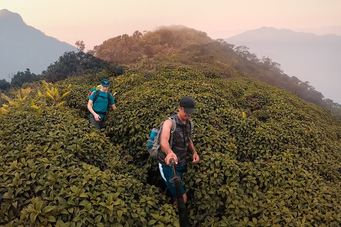 Overnight Adventure Trekking in Knuckles - Why the Knuckles Mountains trek makes sense from Kandy