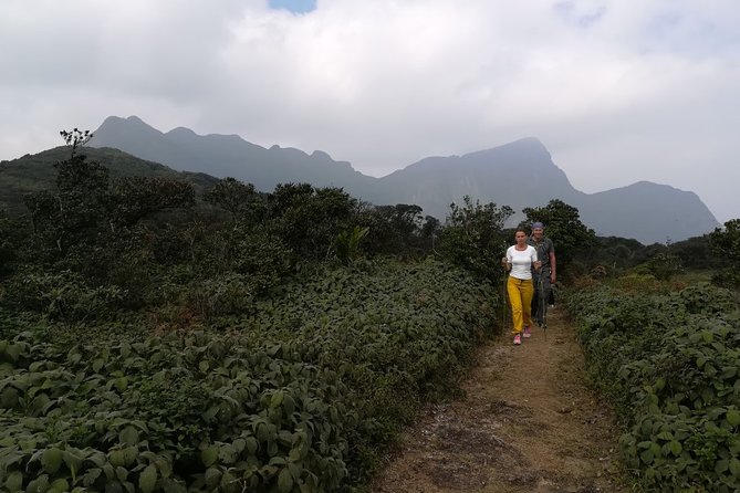 Overnight Adventure Trekking in Knuckles - Guide quality: professionalism, first aid, and a human touch
