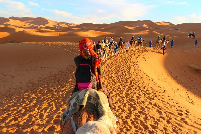 Overnight Camel trek in Merzouga dunes - Sleeping in a Berber tent under Erg Chebbi stars