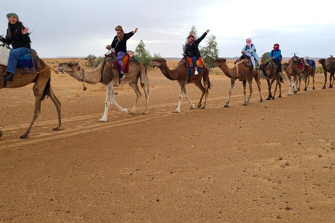 Overnight Camel trek in Merzouga dunes - Price and value: what $40.71 actually buys you