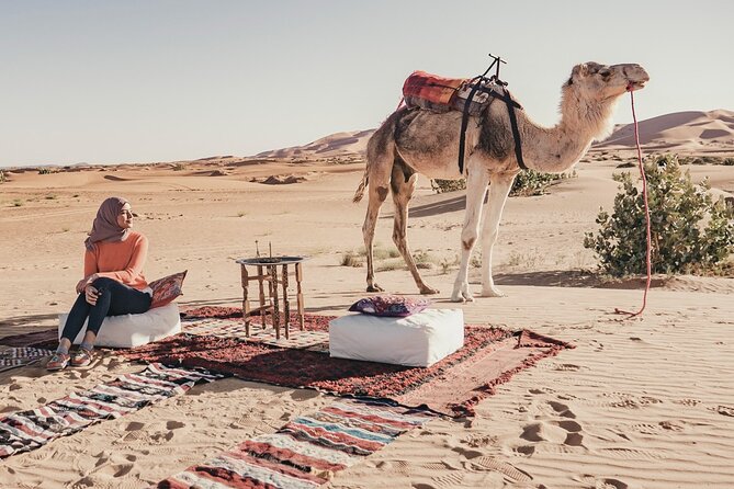 Overnight Camel trekking in Merzouga - Sunset, the 90-minute climb, and the view changes fast