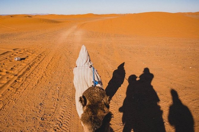 Overnight Camel trekking in Merzouga - Sandboarding and desert fun between the stars