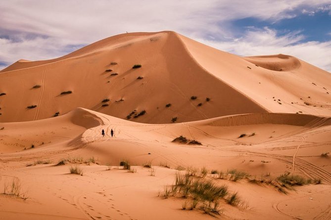 Overnight Camel trekking in Merzouga - Who this overnight camel trek is best for