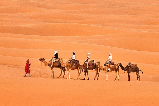 Overnight Camp Camel Trekking In Merzouga - Sandboarding in the Desert: The Included Extra That Changes the Trip