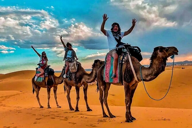 Overnight Camp Camel Trekking In Merzouga - Price Check: Is $58.16 Good Value in the Sahara?