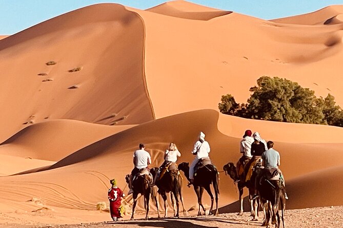 Overnight stay in desert camp & Camel trekking in the Sahara - Key Highlights You’ll Care About