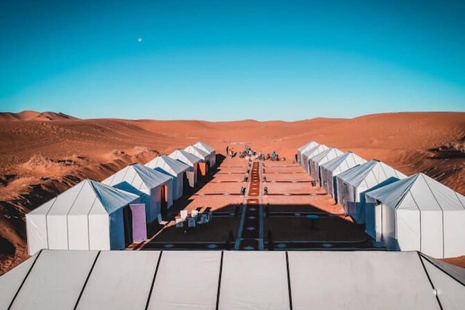Overnight stay in desert camp & Camel trekking in the Sahara - Price and Value: What $69.79 Is Really Buying