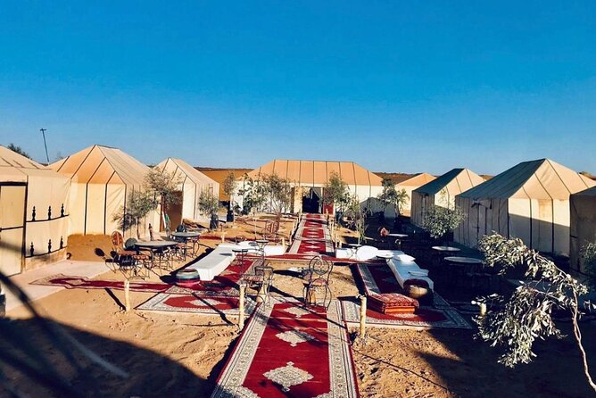 Overnight stay in desert camp & Camel trekking in the Sahara - Who This Private Sahara Trek Suits Best