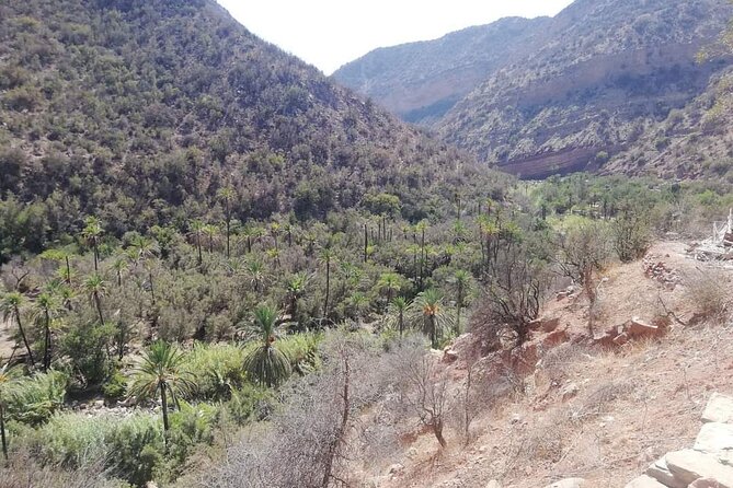 Paradise Valley Trekking - The herbary stop: spices, argan oil, and black soap