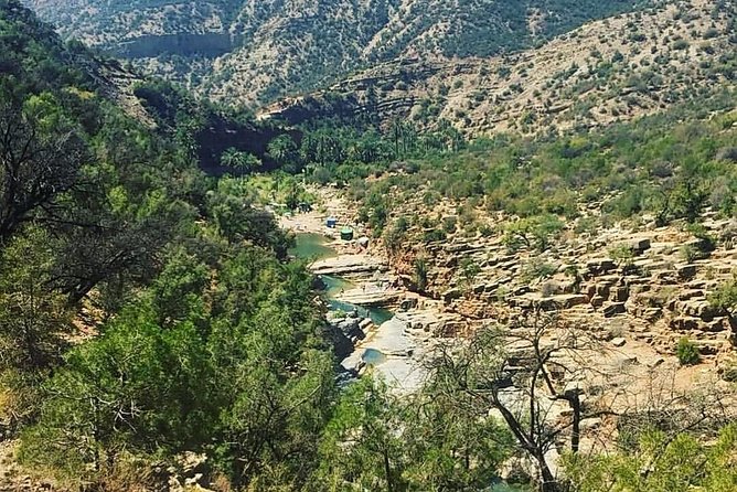 Paradise Valley Trekking - What happens on the walk: the guided two-hour wadi stroll