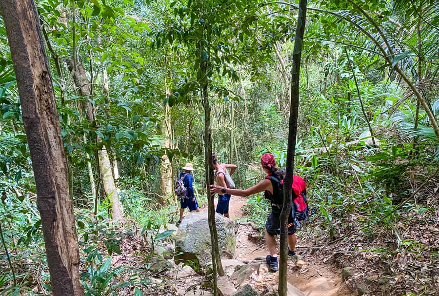 Paraty: Pão de Açucar Peak Trekking and Hiking Tour - The 466-meter ascent: steep effort, good shoes, and smart pacing