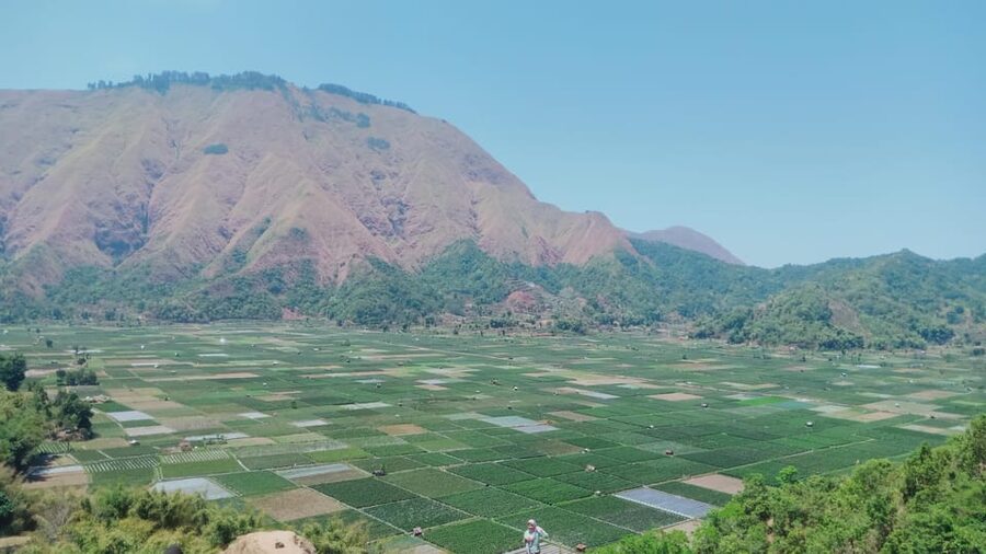 Pergasingan Hill Trek: Unveiling the Beauty of Sembalun - Pace, Safety, and Gear: What Actually Helps