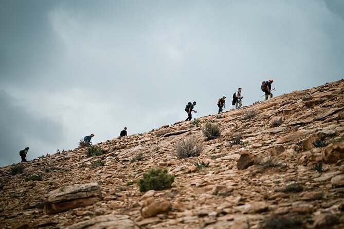 Petra to Wadi Rum Trek - 6 Days - Price and what you actually get for $995