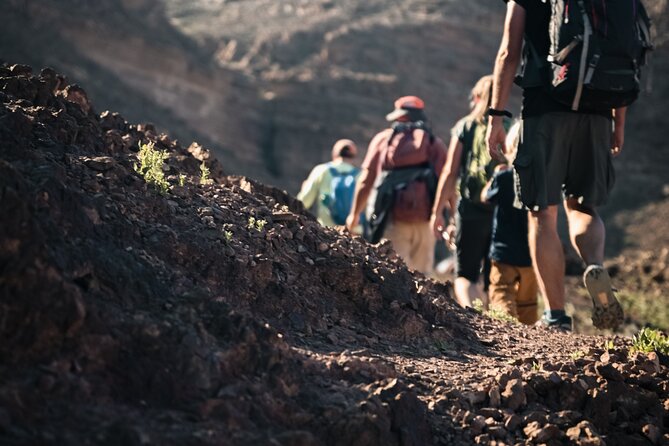 Petra to Wadi Rum Trek - 6 Days - Day 6: Wadi Rum Protected Area morning, then you choose your next move