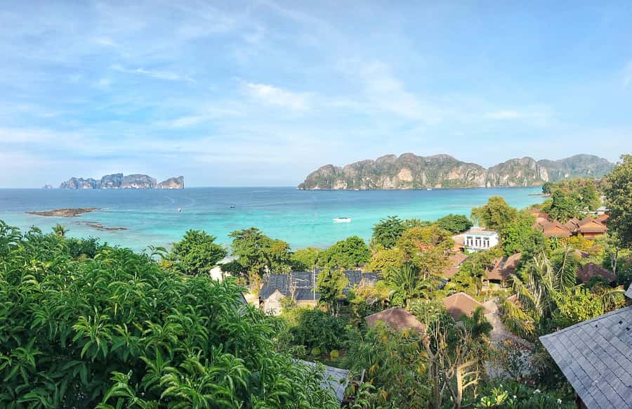 Phi Phi: Guided Jungle Trek & Night Swim with Plankton - Jungle walk into the first viewpoints: the stairs are the real opener