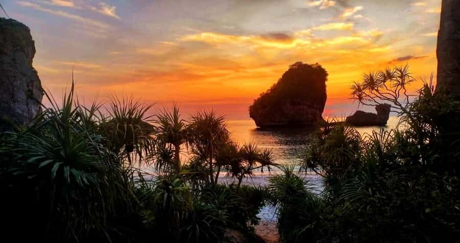 Phi Phi: Guided Jungle Trek & Night Swim with Plankton - Wildlife, flora, and the “other side” of Phi Phi Don
