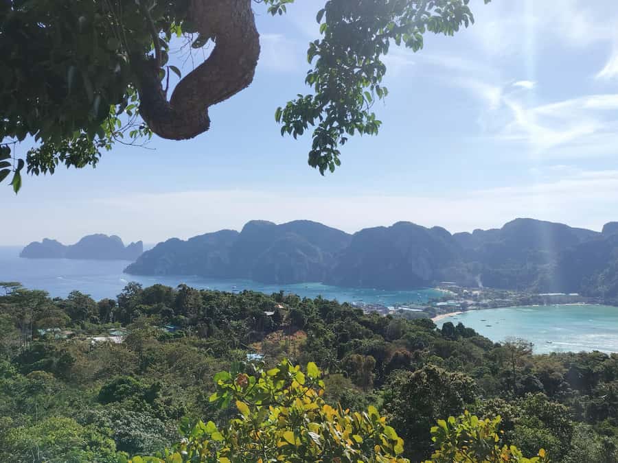 Phi Phi: Guided Jungle Trek & Night Swim with Plankton - Night plankton swim by long-tail boat: magical, but manage expectations