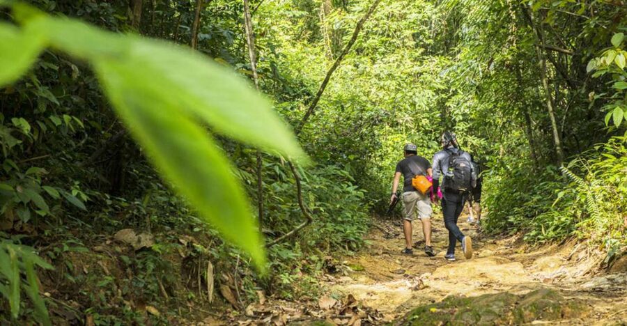 Phuket: Jungle Trekking Experience at Khao Phra Taew - Key things to know before you go