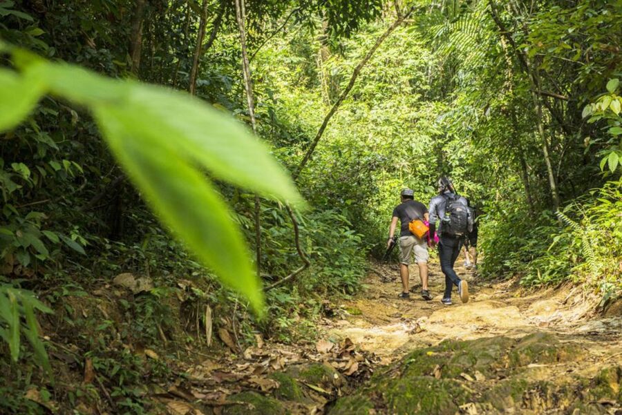 Phuket: Jungle Trekking Experience at Khao Phra Taew - Phuket Jungle Trek at Khao Phra Taew: What You’re Really Signing Up For