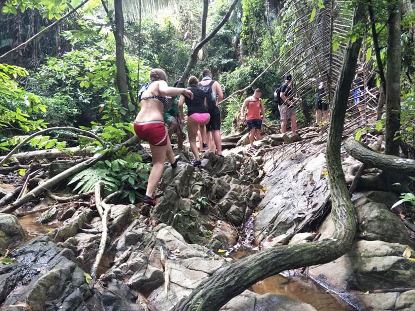 Phuket: Jungle Trekking Experience at Khao Phra Taew - Your English-Speaking Guide: Plant Talk, Animal Clues, and Names You’ll Hear
