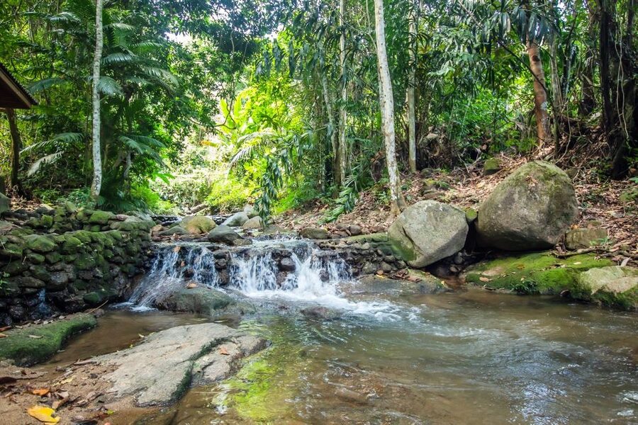 Phuket: Jungle Trekking Experience at Khao Phra Taew - Waterfall Cooling: Ton Sai and Bang Pae Up Close