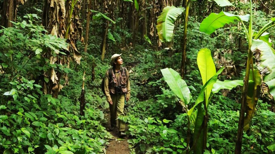 Phuket: Jungle Trekking Experience at Khao Phra Taew - The Lunch, Fruit, and Drinks That Keep the Day Comfortable