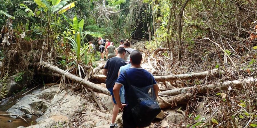 Phuket: Jungle Trekking Experience at Khao Phra Taew - Price and Value: Is $77 Worth It?