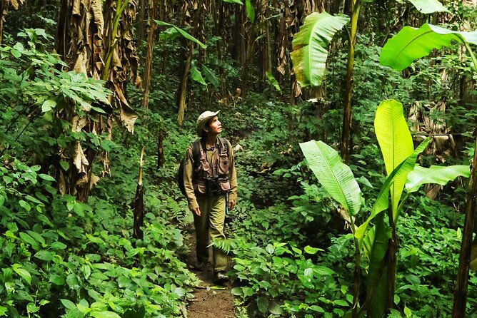 Phuket Jungle Trekking Experience at Khao Phra Taew National Park - Quick reasons this trek earns such high marks