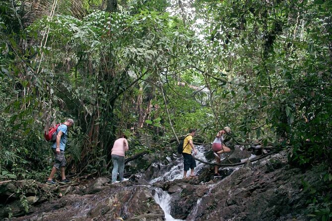 Phuket Jungle Trekking Experience at Khao Phra Taew National Park - Price and value: how $82.29 makes sense when you add up what’s included