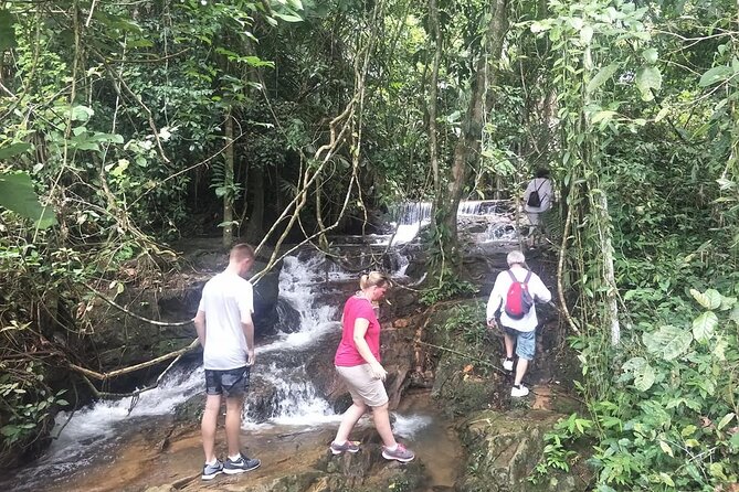 Phuket Jungle Trekking Experience at Khao Phra Taew National Park - Who should book this Phuket jungle trek