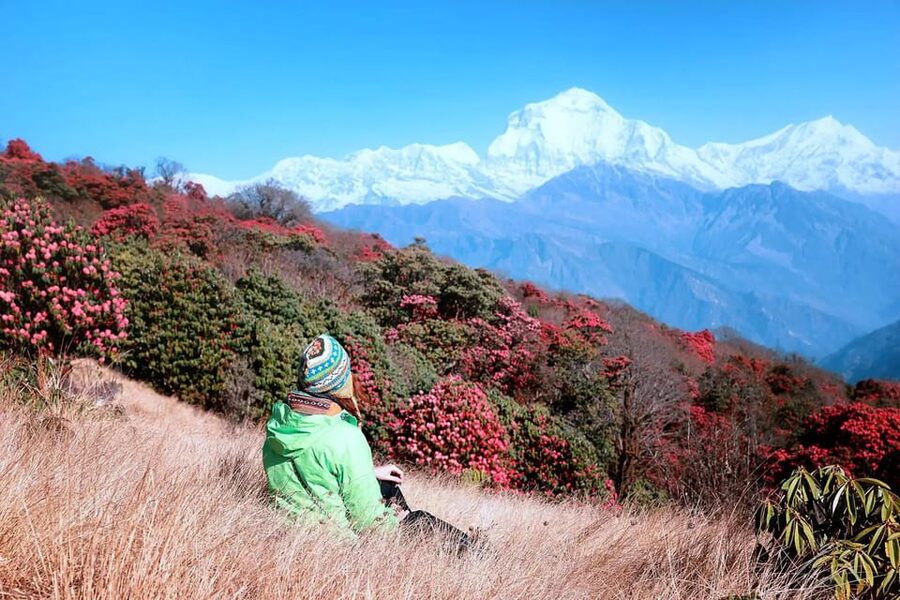 Pokhara: 2 Day Ghorepani & Poon Hill Private Trekking - Day 1: Road to Ulleri/Tikhedhunga, Then the Climb to Ghorepani