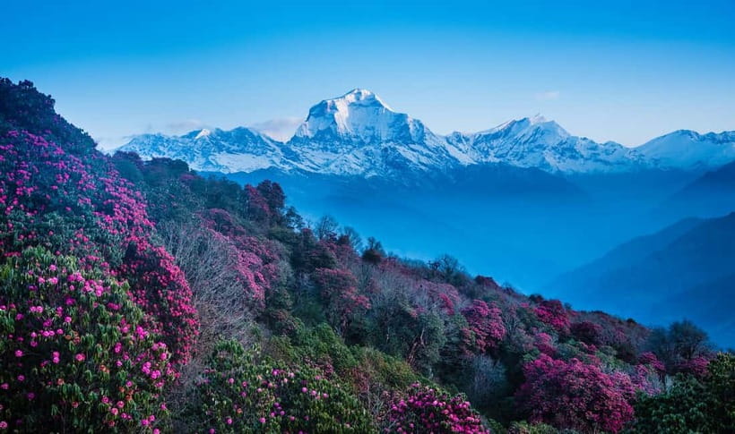 Pokhara: 2-Days Beautiful Poon Hill Trek with Sunrise View - Price and value: is $193 a good deal?