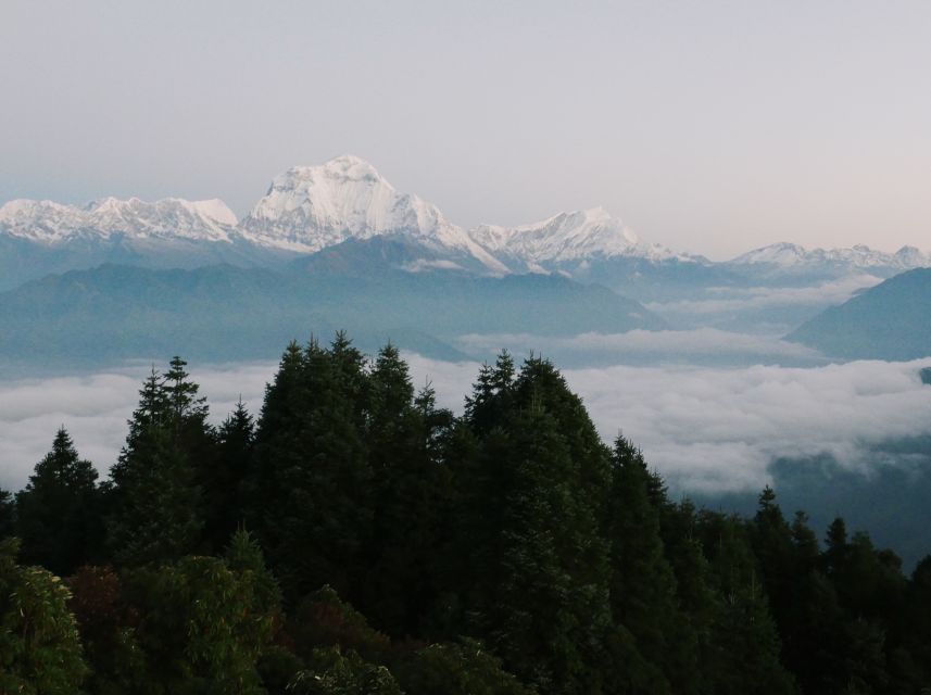 Pokhara: 3-Day Ghorepani and Poon Hill Trek - Who this trek suits best (and who should pick another option)