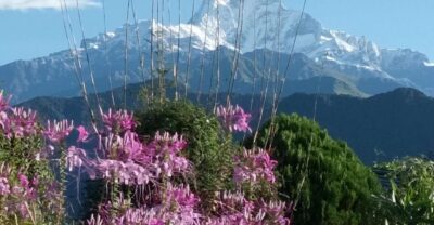 Pokhara: 3-Day Trek - Trail Basics: Easy Walking, Real Climbing, and Scenic Payoff