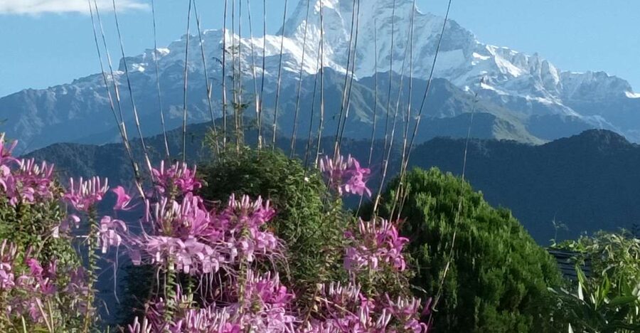 Pokhara: 3-Day Trek - Trail Basics: Easy Walking, Real Climbing, and Scenic Payoff