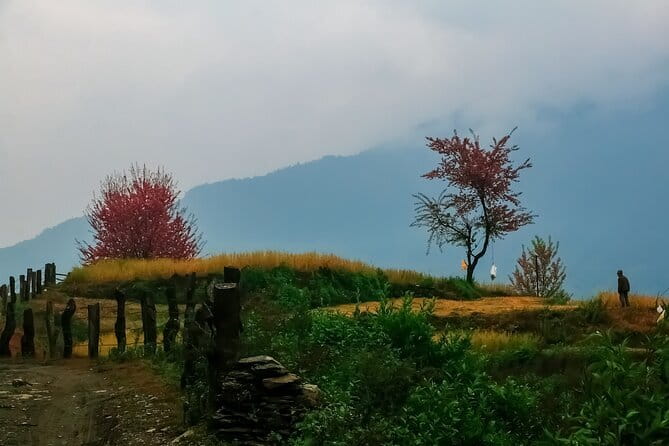 Pokhara 3 Days Ghorepani and Poon Hill Private Trek via Ghandruk - Altitude math: what the elevations mean for a 3-day trek