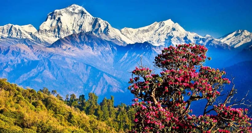 Pokhara: 4-Day Ghorepani, Poonhill & Ghandruk Mountain Trek - Pokhara to Ulleri: a gentle uphill start with Magar hospitality