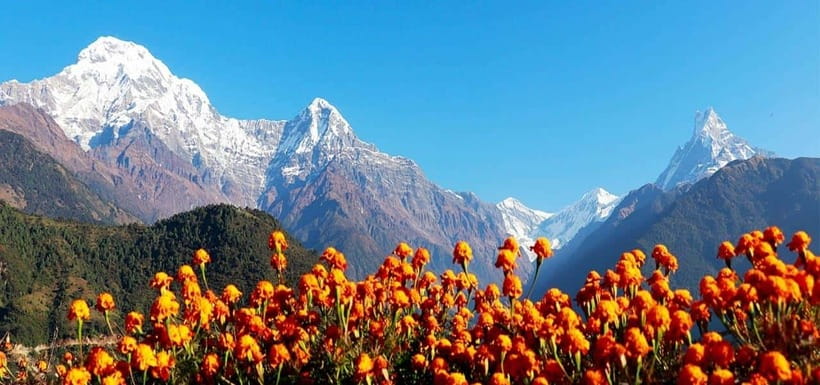 Pokhara: 4-Day Ghorepani, Poonhill & Ghandruk Mountain Trek - Poon Hill at sunrise: cold air, big peaks, and timing that matters