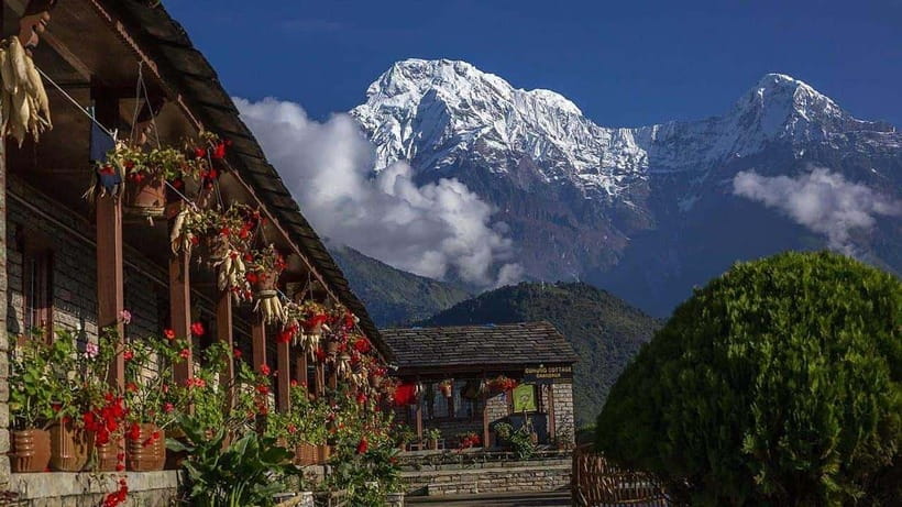 Pokhara: 4-Day Ghorepani, Poonhill & Ghandruk Mountain Trek - How hard is this trek, really? Altitude, pace, and fit