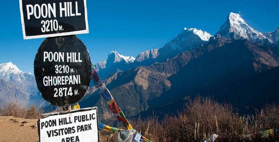 Pokhara: 4-Day Ghorepani, Poonhill & Ghandruk Mountain Trek - Picking your guide: the names that keep coming up