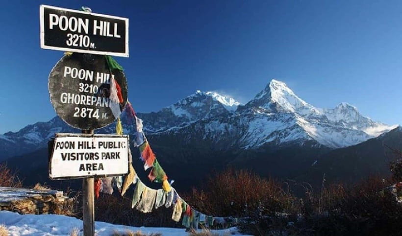 Pokhara: 4-Day Ghorepani, Poonhill & Ghandruk Mountain Trek - Ghorepani day: rhododendron forest walking before the big morning