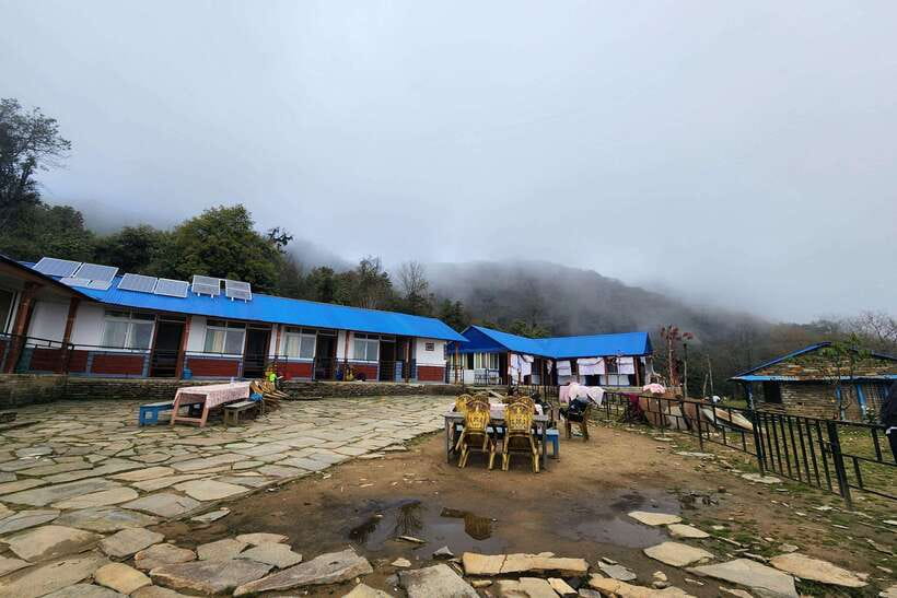 Pokhara: 4-Day Mardi Himal Trek - Day 4: Forest Camp → Kalimati, waterfalls, and your jeep return